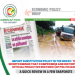 IMPORT SUBSTITUTION POLICY IN THE NDS30 : THE SHORTCOMINGS THAT COMPROMISE AND DISTORT THE OFFICIAL PROACTIVE RHETORIC (OF POLITICIANS)