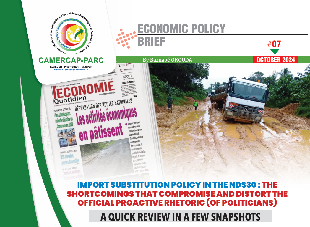 IMPORT SUBSTITUTION POLICY IN THE NDS30 : THE SHORTCOMINGS THAT COMPROMISE AND DISTORT THE OFFICIAL PROACTIVE RHETORIC (OF POLITICIANS)